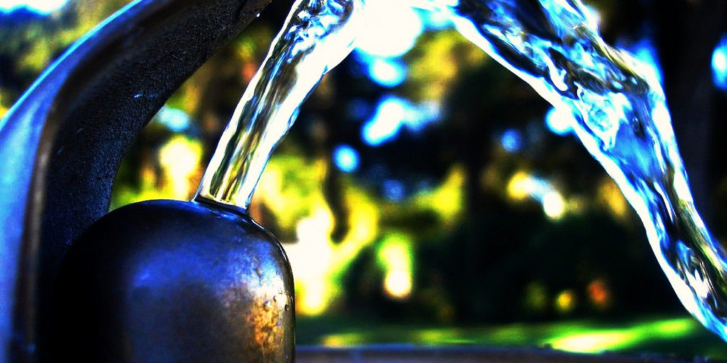 Water Purification for Survival