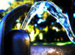 Water Purification for Survival