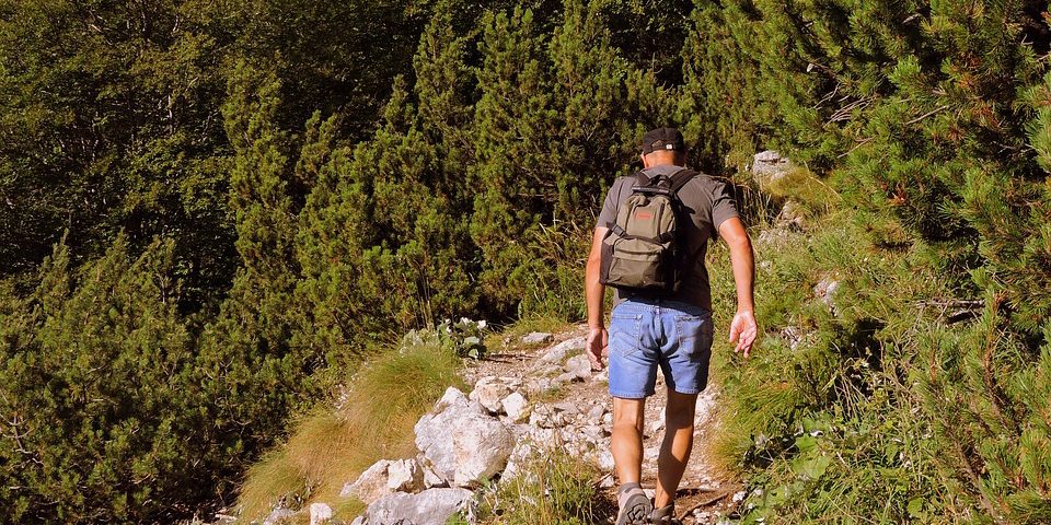 distance you can walk in a day