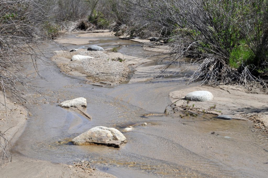 how to survive a drought