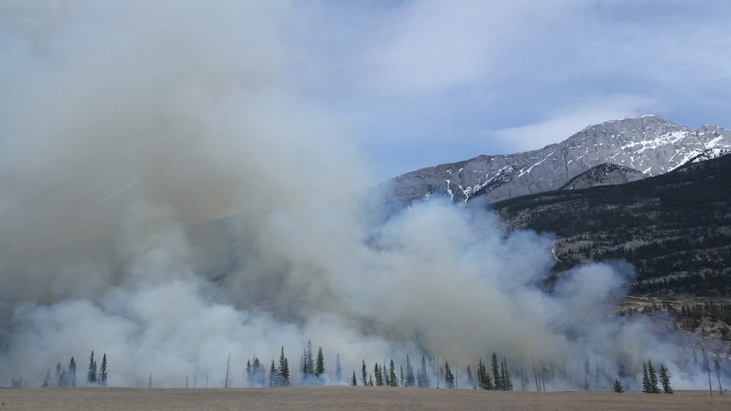 How to prepare for a wildfire