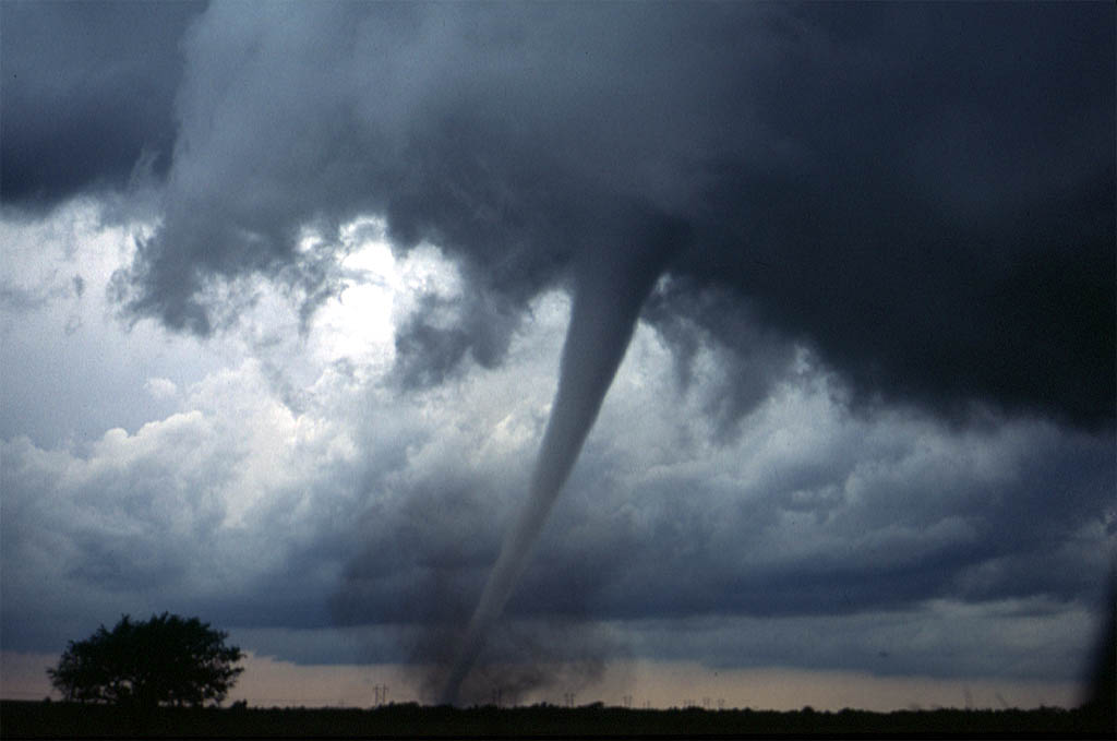 how to survive a tornado