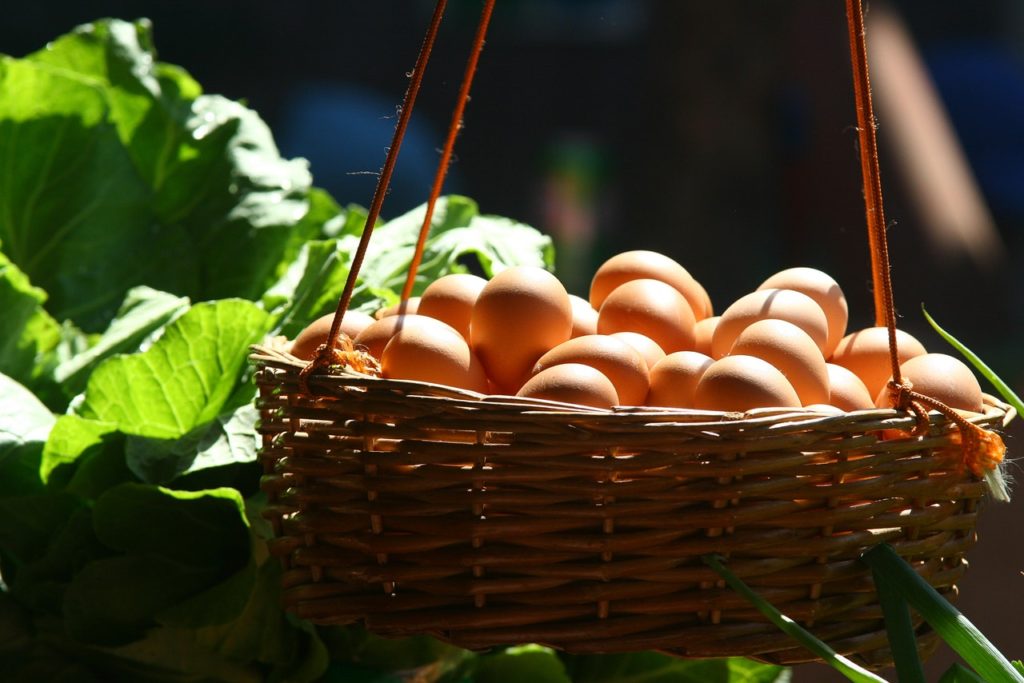 How to preserve eggs without electricity