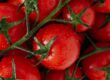 How to prepare tomatoes for freezing