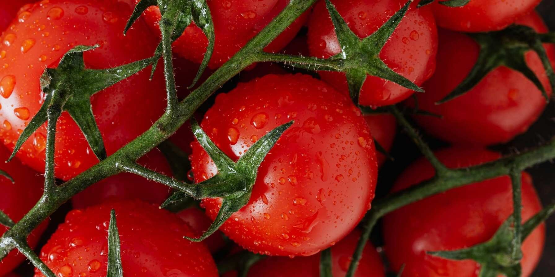 How to prepare tomatoes for freezing