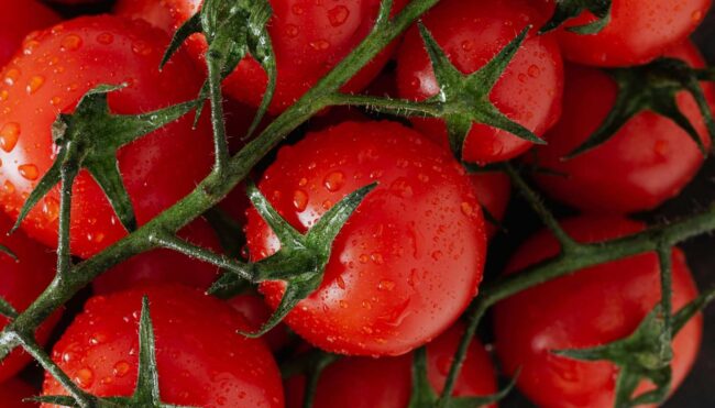 How to prepare tomatoes for freezing