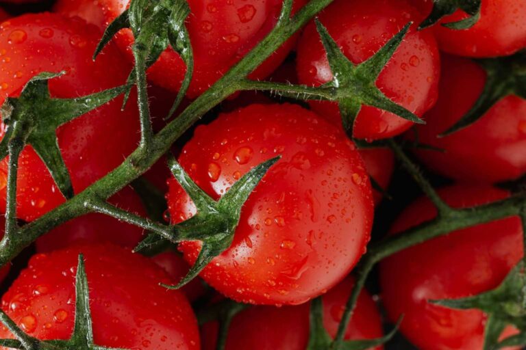 How to prepare tomatoes for freezing